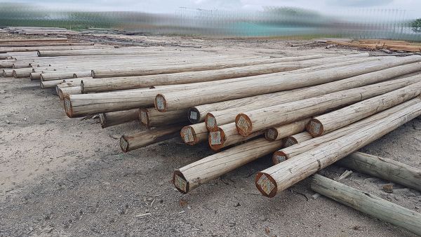 Conheça a Durabilidade do Eucalipto Tratado